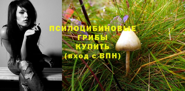 не бодяженный Горно-Алтайск