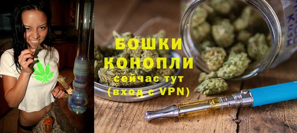 твердый Горняк
